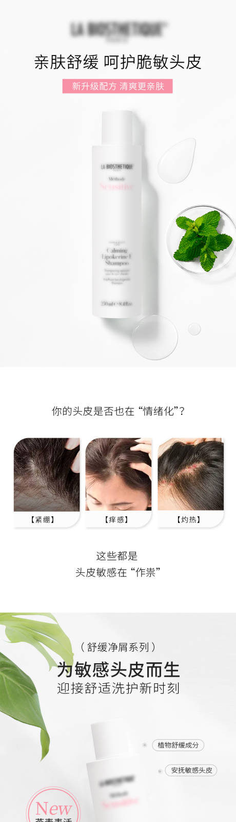 源文件下载【洗护产品促销电商详情页】编号：92870031577975369
