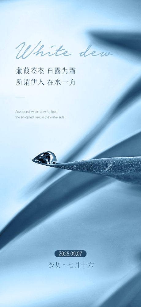源文件下载【享设计】搜索编号：47060031398658550【白露节气露水蓝色海报】