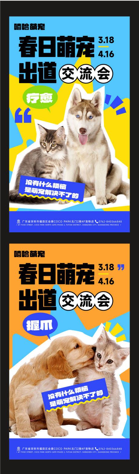 源文件下载【萌宠海报】编号：46570031310234019