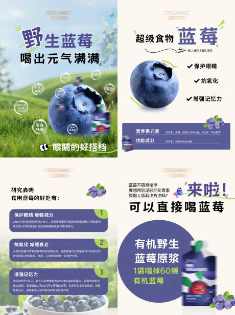 源文件下载【野生蓝莓海报】编号：61080031550621002