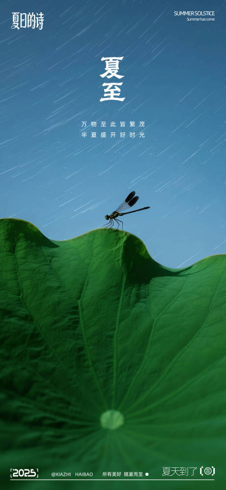 源文件下載【享設計】搜索編號：46590031317407581【二十四節氣夏至寫實攝影海報】
