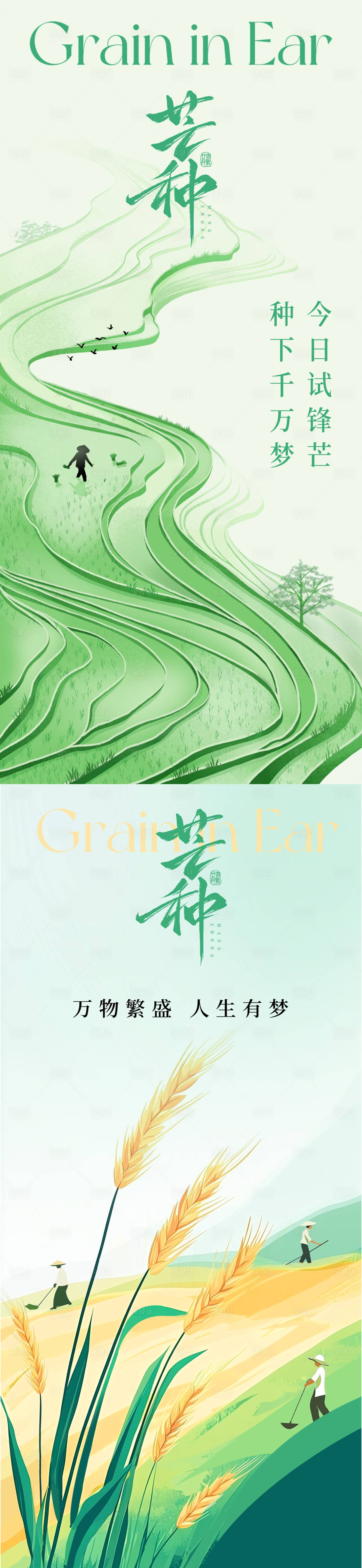 源文件下载【享设计】搜索编号：15570031113576577【芒种节气系列海报】