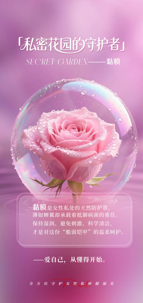 私密花园的守护者海报