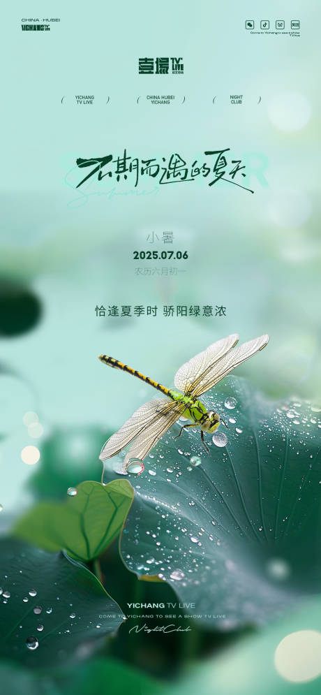 源文件下载【小暑】编号：27700031508727675