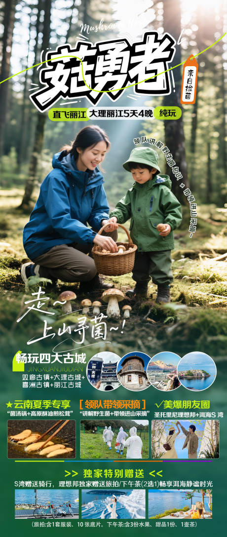 源文件下载【云南旅游海报】编号：66200031273884263