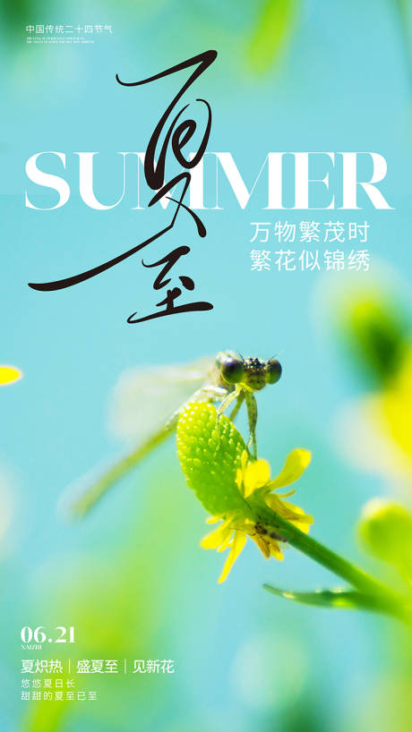 源文件下載【享設計】搜索編號：72610031402437428【夏至海報】