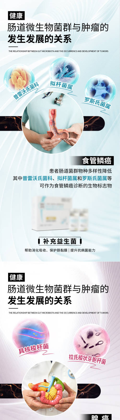 源文件下载【肠道菌群益生菌海报】编号：15670031178766406