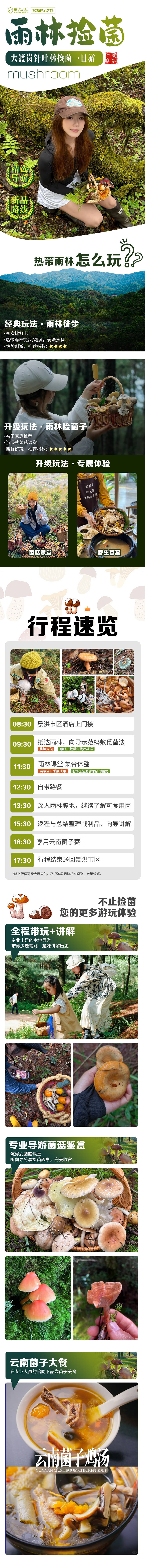 源文件下载【享设计】搜索编号：21010031243894008【西双版纳旅游详情页    】