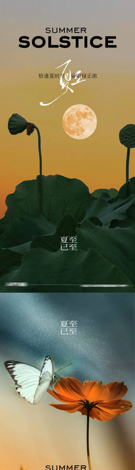 源文件下載【夏至節氣海報】編號：10490031361524534