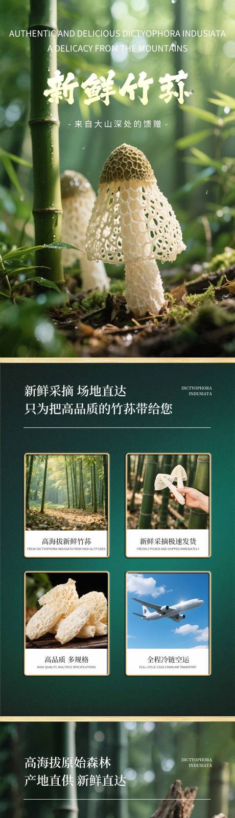 竹荪详情页
