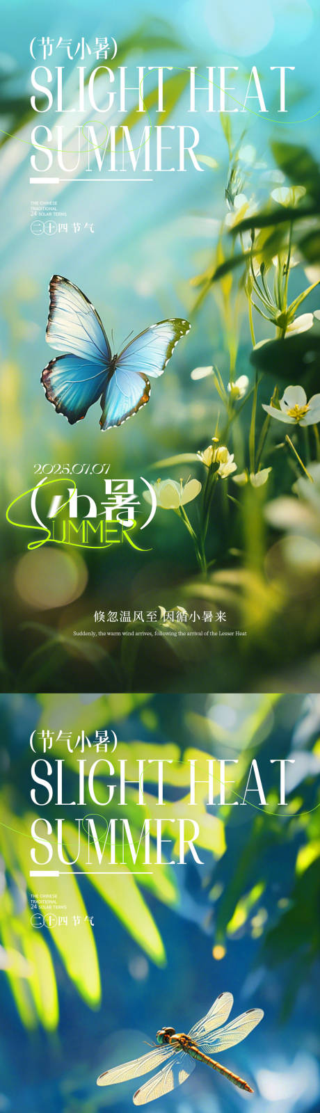 源文件下载【小暑系列海报】编号：43720031599621629