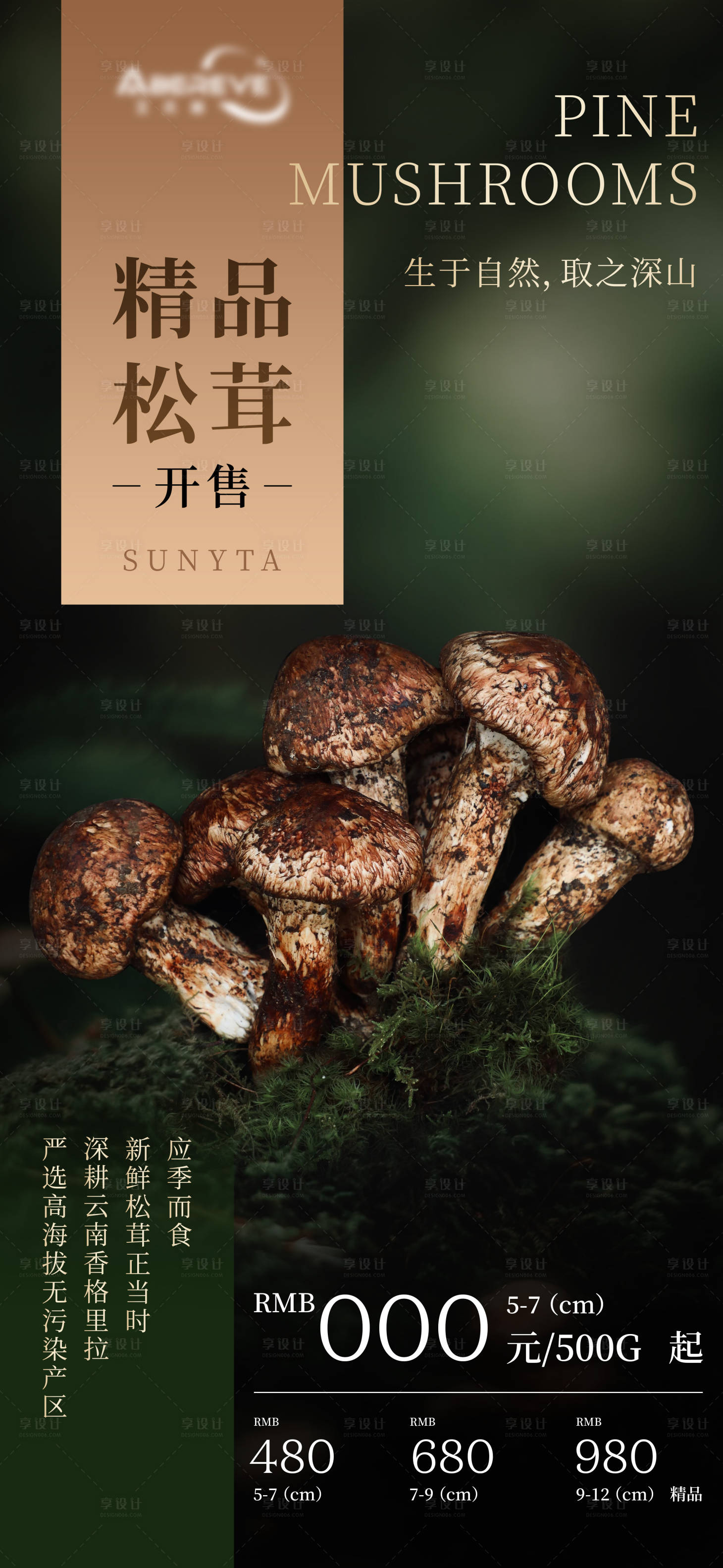 源文件下载【松茸蘑菇海报】编号：85660031283461940