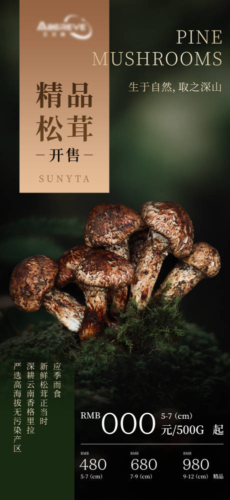 松茸蘑菇海报