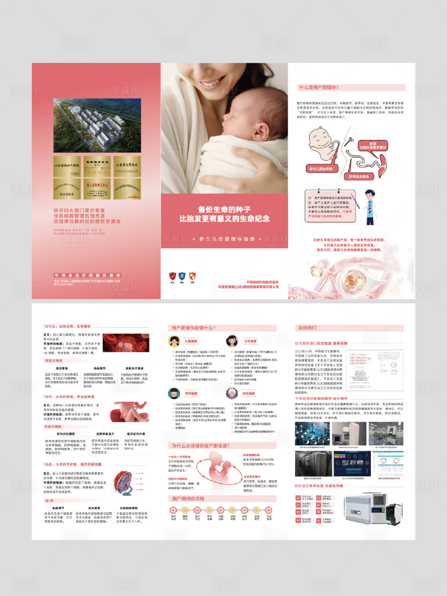源文件下载【享设计】搜索编号：84120031116477250【脐带存储三折页】
