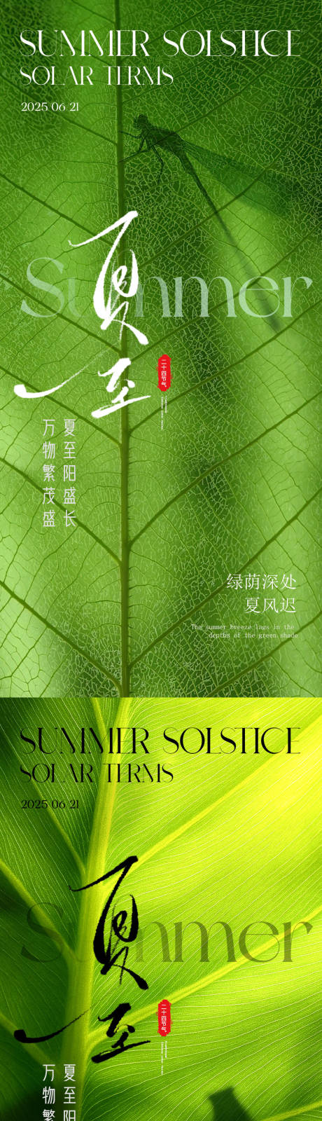 源文件下载【夏日夏至绿叶主题创意设计】编号：52720031371855556