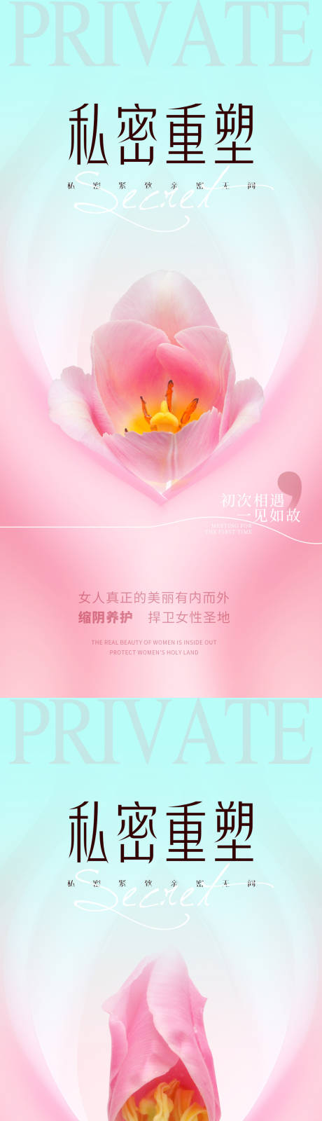 源文件下载【医美私密促销花朵系列海报】编号：17300031357882180