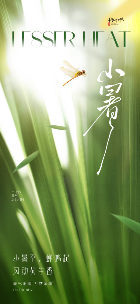 源文件下载【地产小暑节气海报】编号：71660031269725345