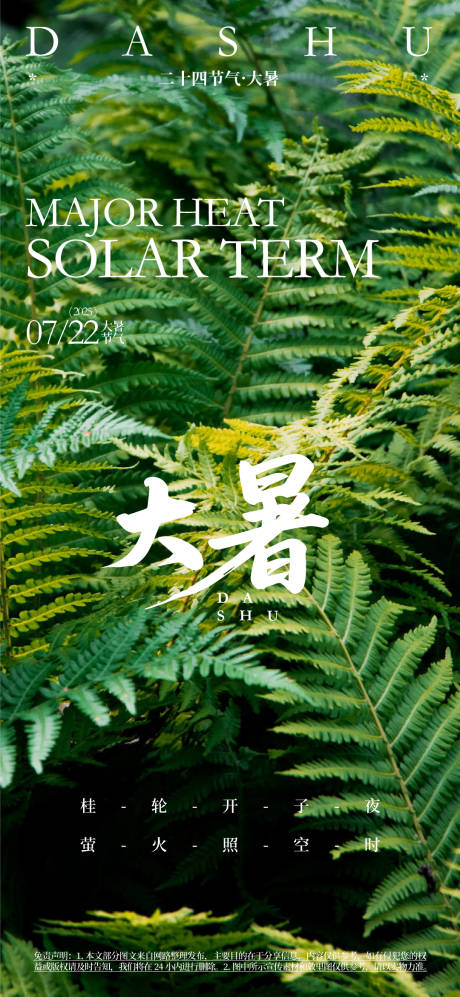 大暑24节气海报