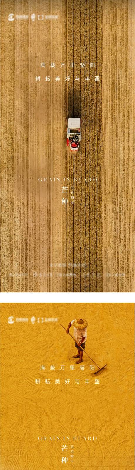 源文件下载【芒种海报】编号：80080031152598345