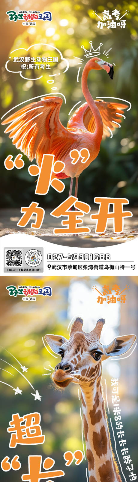 源文件下载【动物宣传海报】编号：33950031299712458