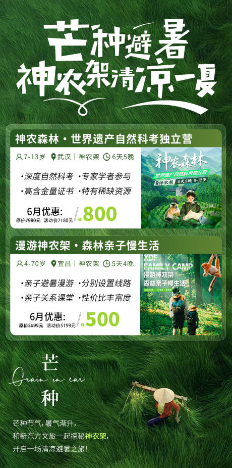 源文件下载【享设计】搜索编号：71670031177153198【芒种节气神农架避暑海报】