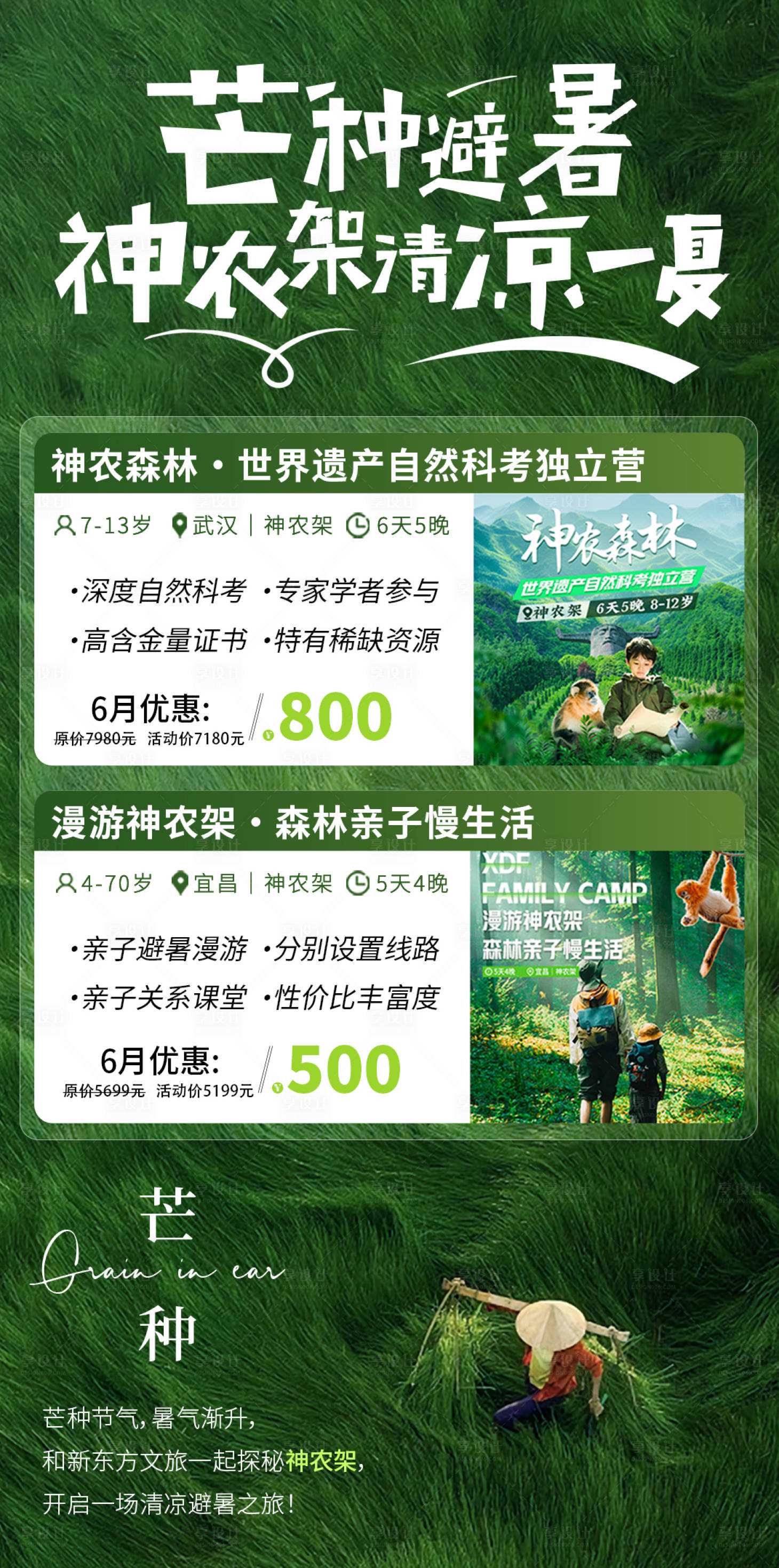 源文件下載【享設(shè)計】搜索編號：71670031177153198【芒種節(jié)氣神農(nóng)架避暑海報】