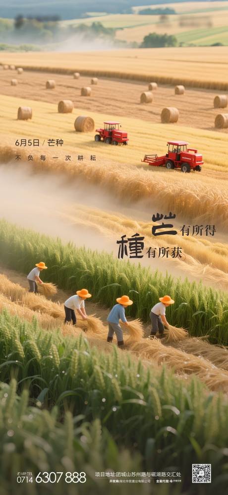 源文件下载【地产节气芒种海报】编号：55930031139259883