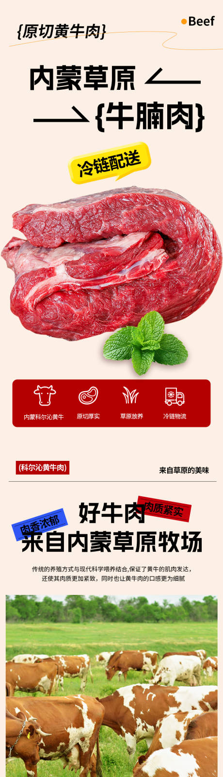 源文件下载【牛腩详情页】编号：30600031668375749
