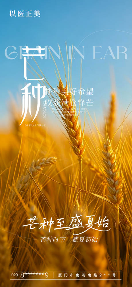 源文件下載【享設計】搜索編號：45210031152911387【芒種 海報】