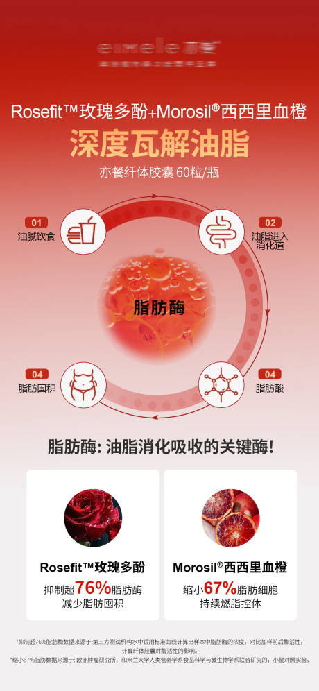 源文件下载【享设计】搜索编号：93210031213936793【瘦身纤体胶囊深度瓦解油脂海报】