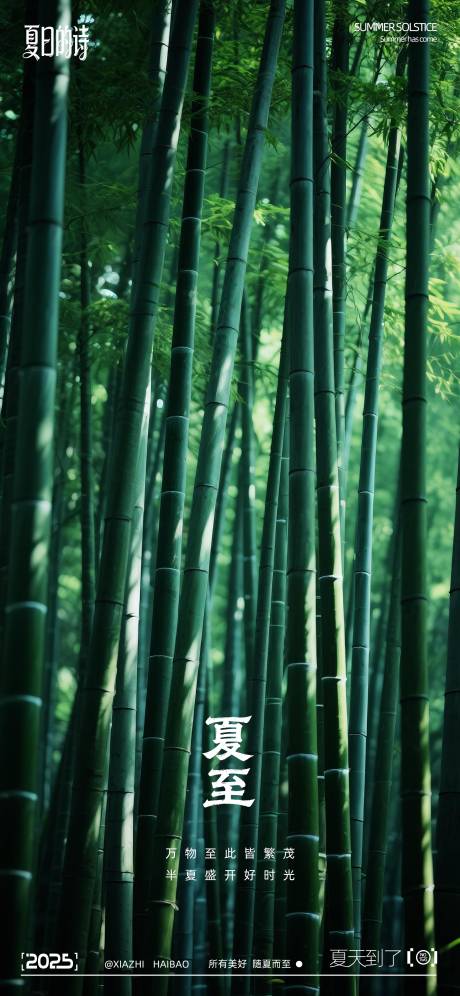 源文件下载【享设计】搜索编号：68000031317422323【二十四节气夏至写实摄影海报】