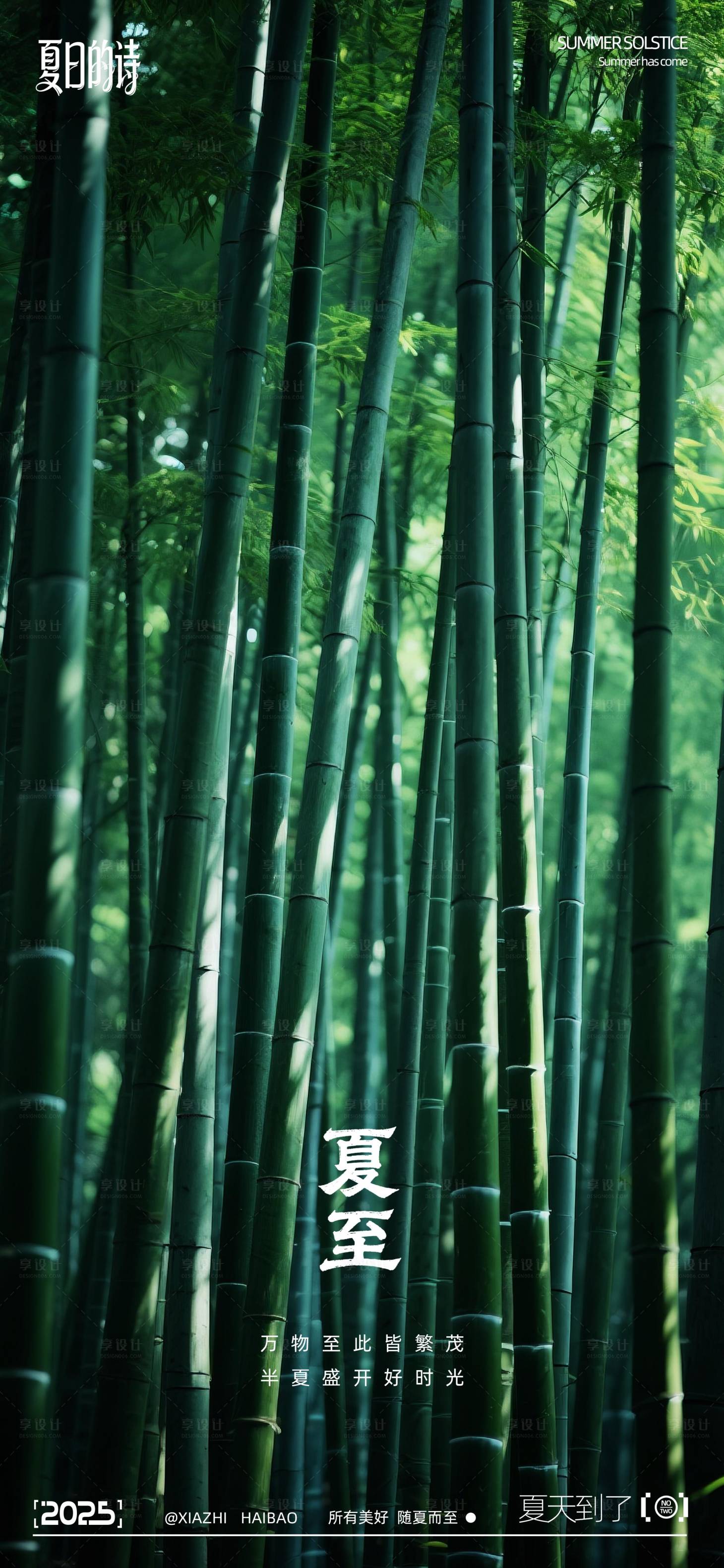 源文件下载【享设计】搜索编号：68000031317422323【二十四节气夏至写实摄影海报】