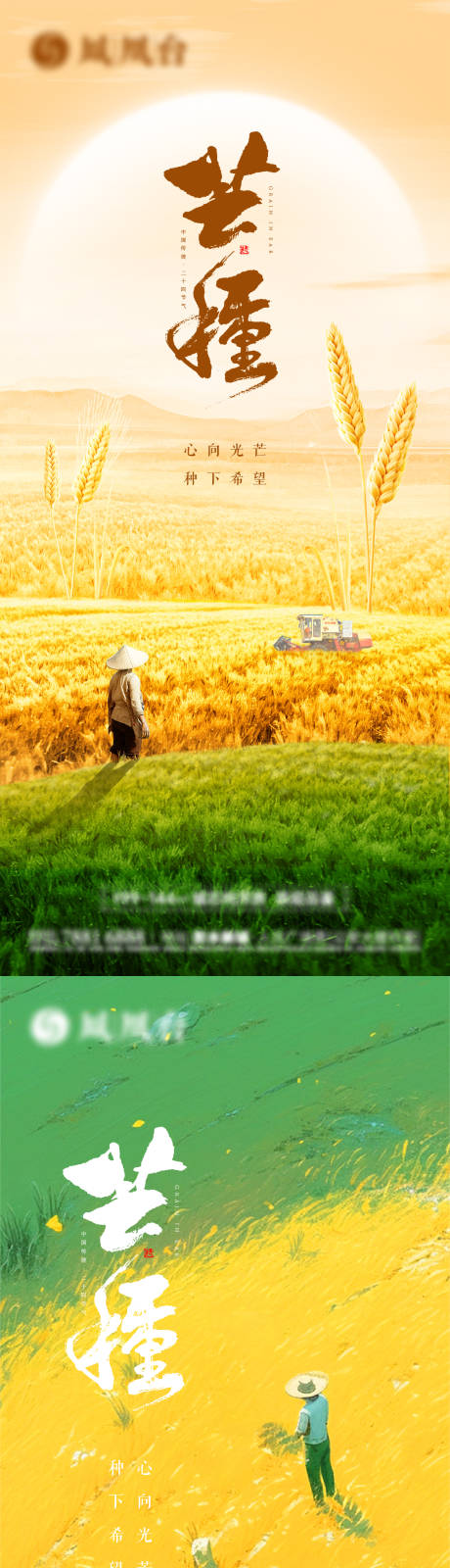 源文件下载【地产芒种节气海报】编号：33710031118466611