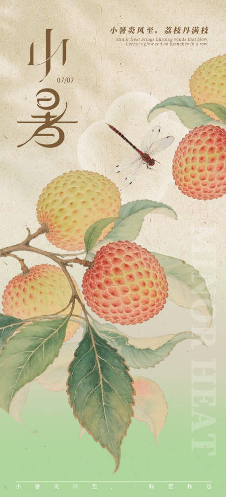 源文件下载【小暑荔枝新中式插画海报】编号：88690031533606761