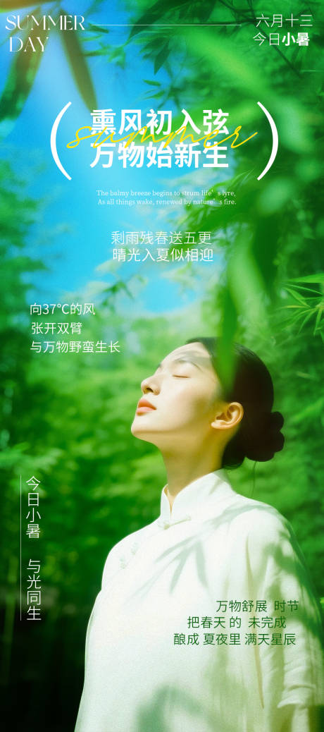 源文件下載【小暑節(jié)氣海報】編號：50380031624052634