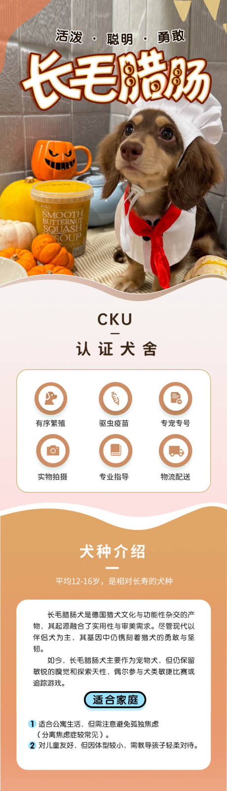 源文件下载【宠物狗详情页】编号：11850031374737234
