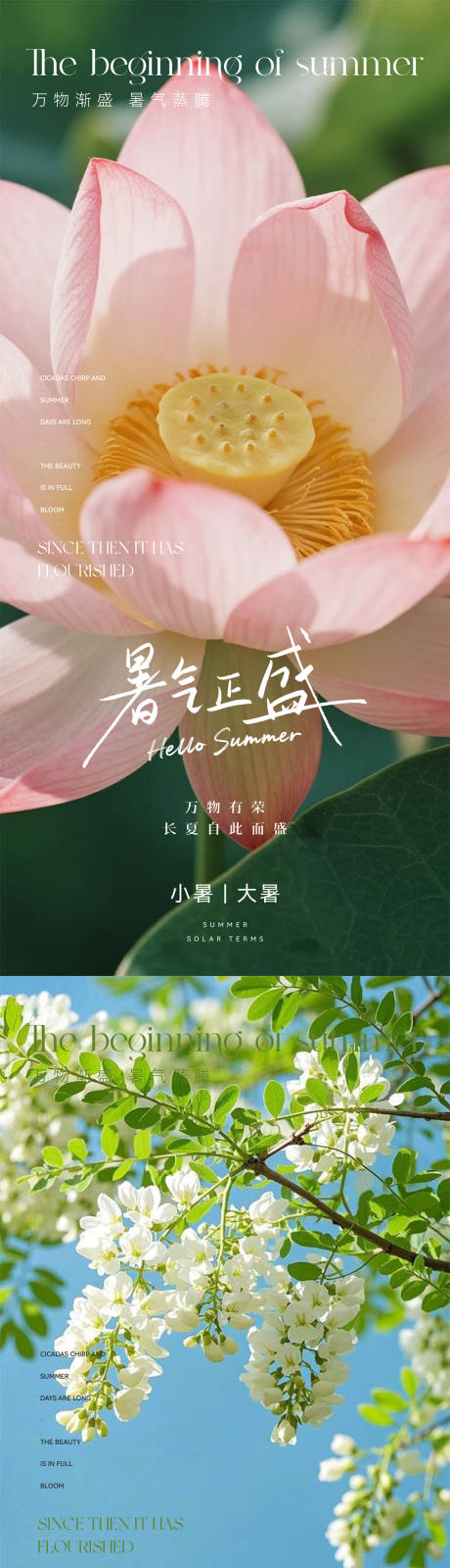 源文件下載【享設計】搜索編號：57860031524917805【小暑大暑節氣系列海報】