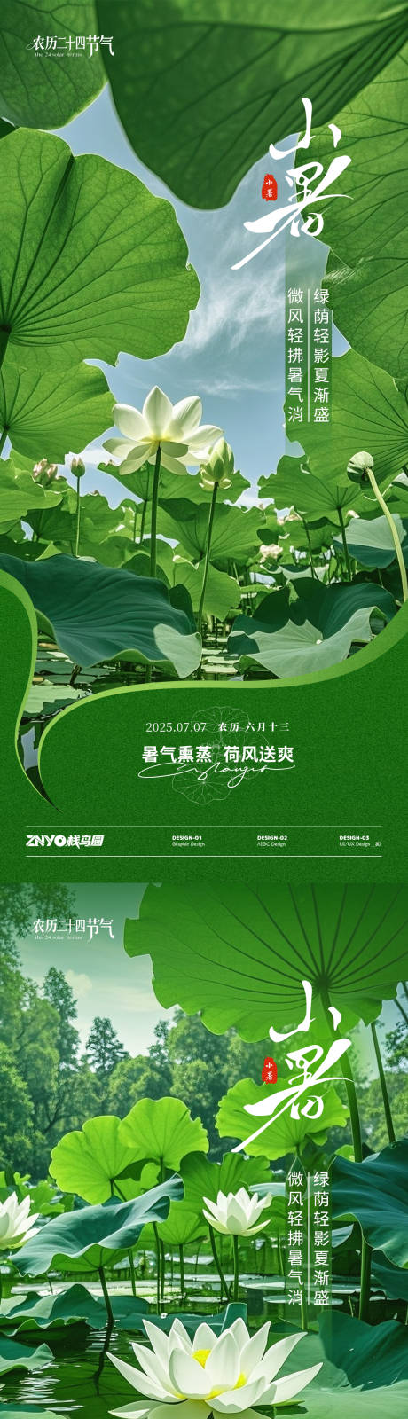 小暑荷花主题海报