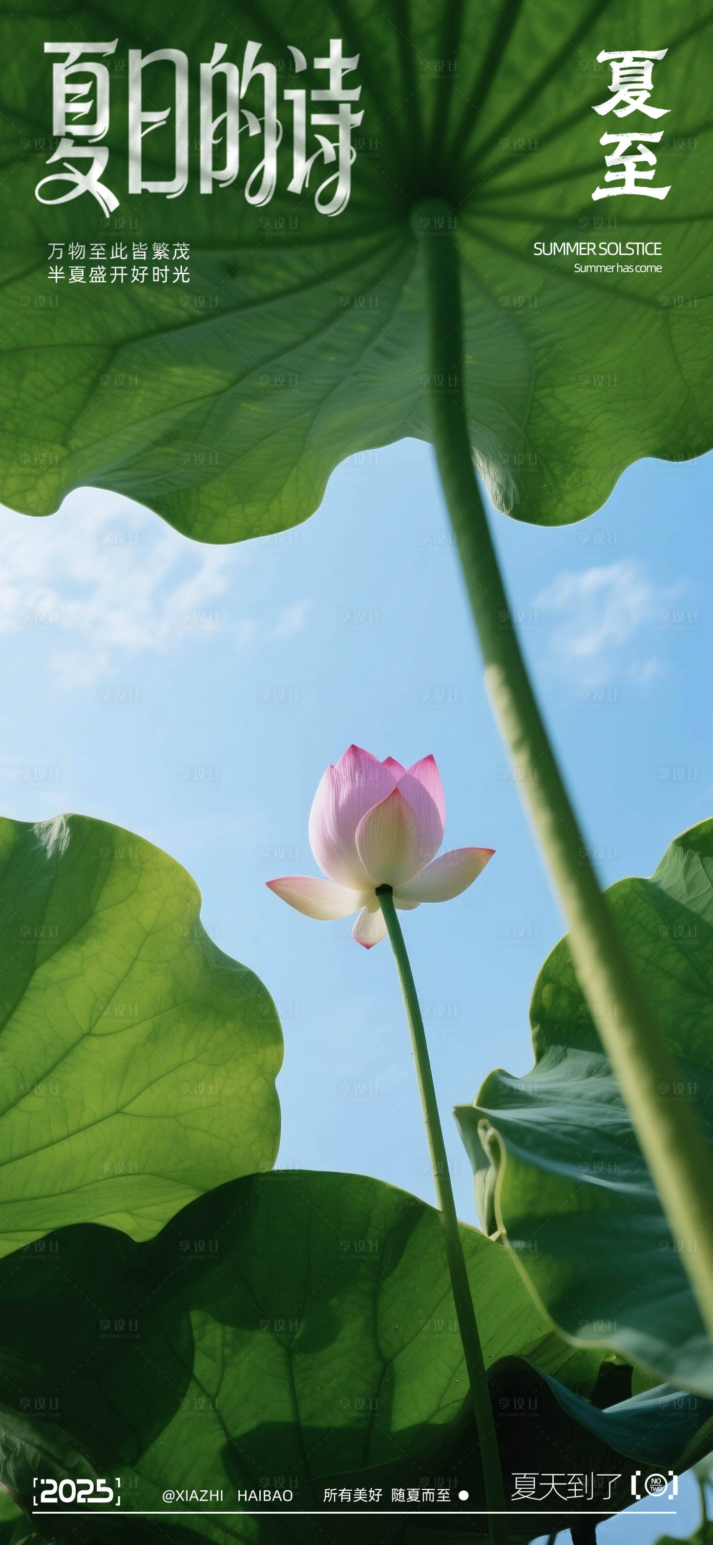 源文件下载【享设计】搜索编号：39920031317391370【二十四节气夏至写实摄影海报】