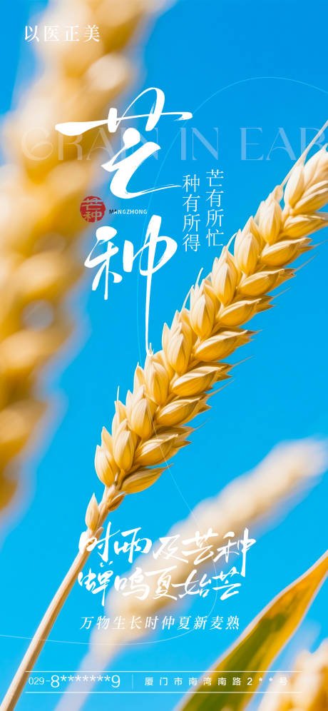 源文件下载【芒种海报】编号：85230031127939285