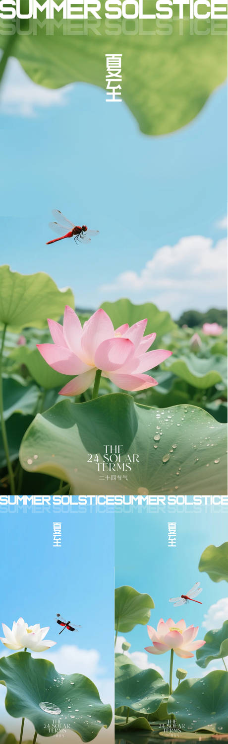 源文件下載【夏至】編號：62600031381575805