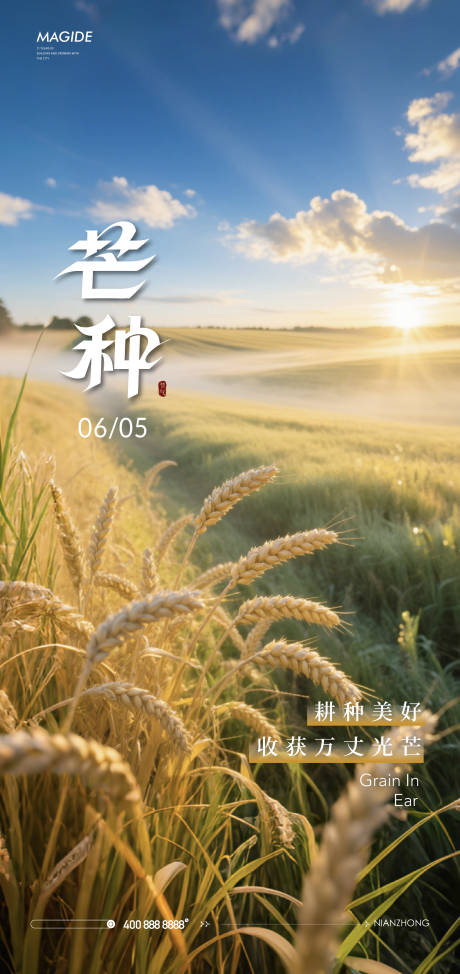 源文件下载【芒种节气移动端丰收海报】编号：64660031167699515