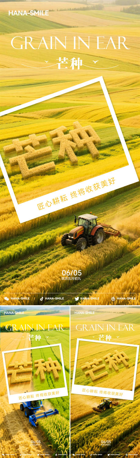 源文件下载【芒种系列海报】编号：22100031144566470