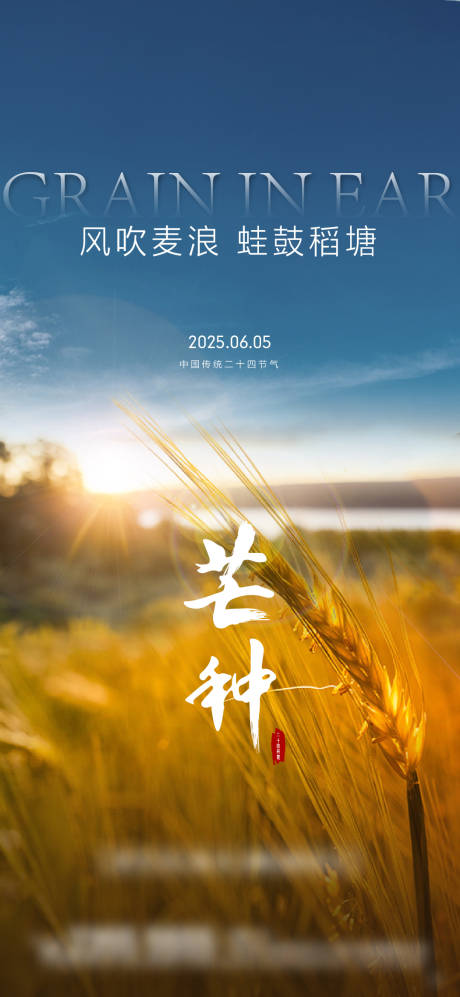 源文件下載【芒種海報】編號：21790031157686932