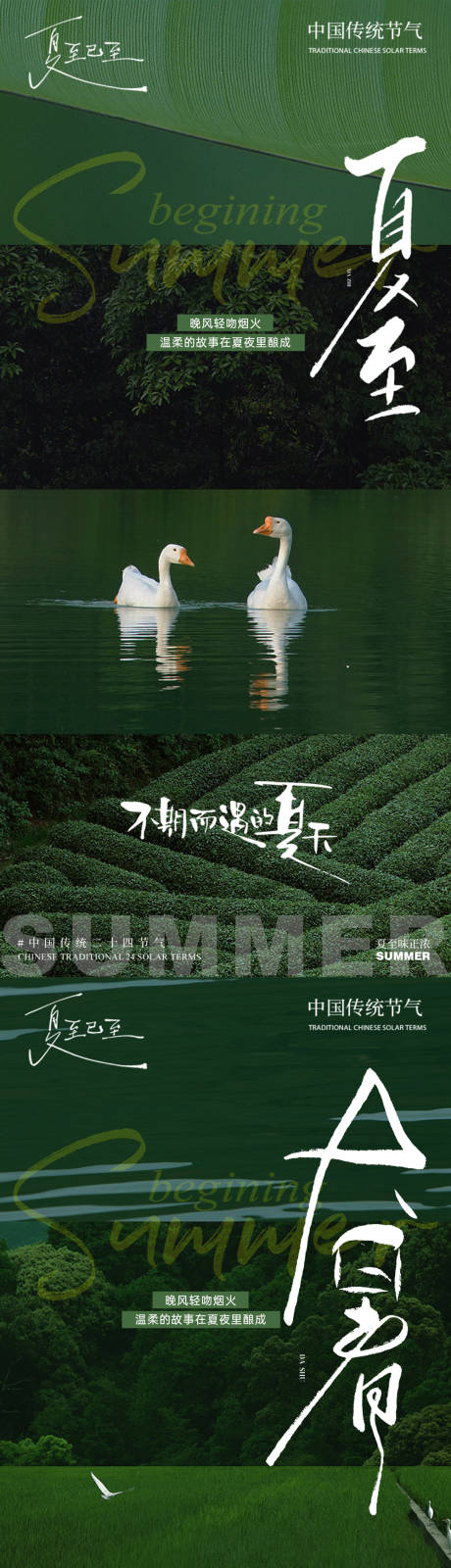 源文件下载【夏天节气叶合集系列海报】编号：50510031482912781