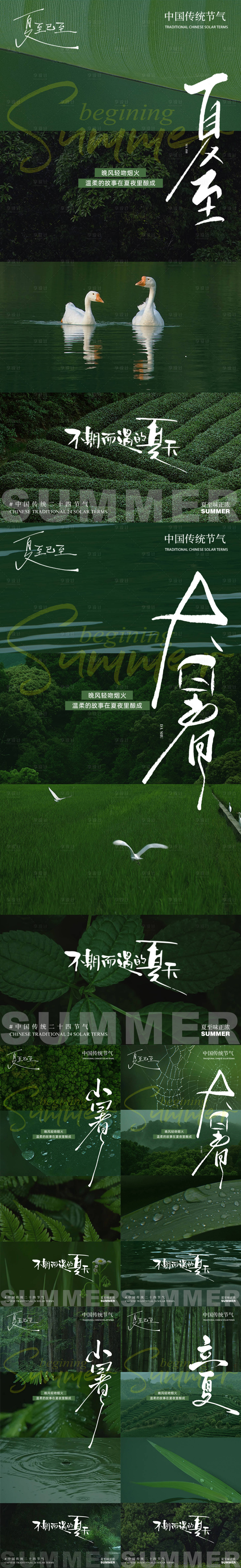 源文件下載【享設(shè)計(jì)】搜索編號(hào)：50510031482912781【夏天節(jié)氣葉合集系列海報(bào)】