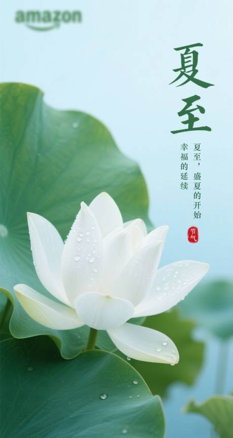 源文件下载【夏至节气海报】编号：38550031533842969