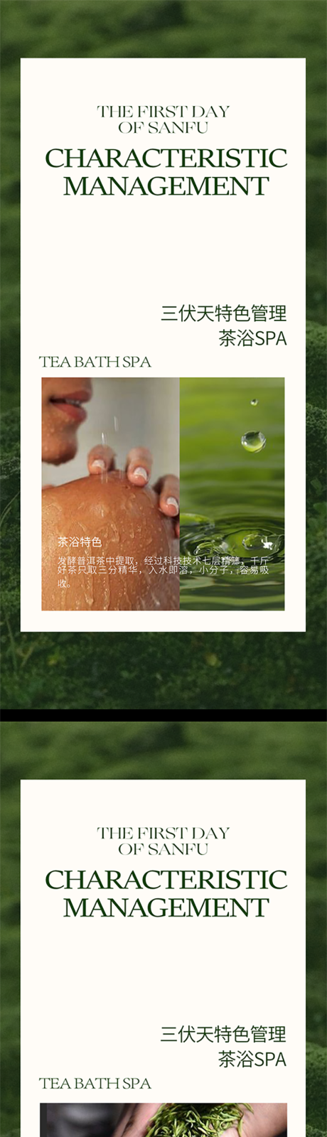 源文件下载【三伏天养生小知识系列海报】编号：78650031413115367
