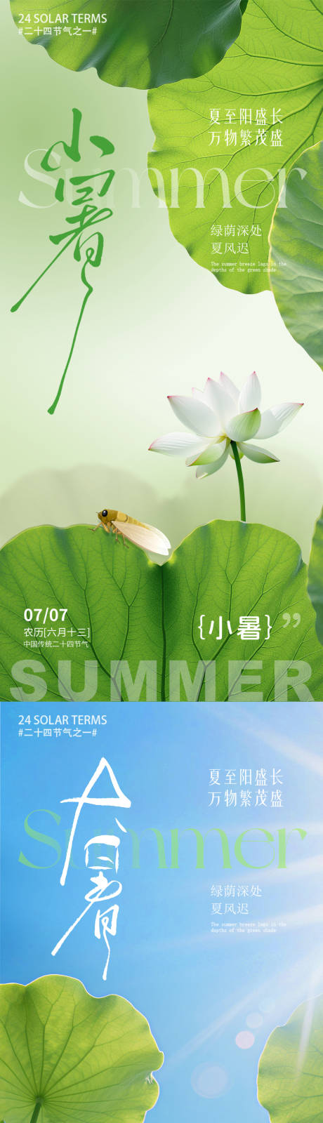 源文件下载【大暑小暑荷叶荷花夏天蜻蜓】编号：33030031471097901