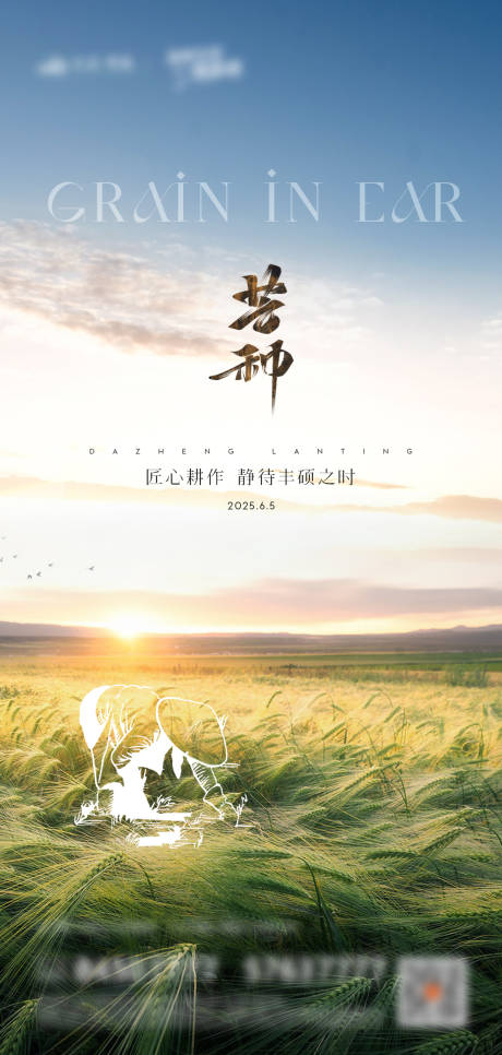 源文件下载【地产芒种节气海报】编号：73700031101574085